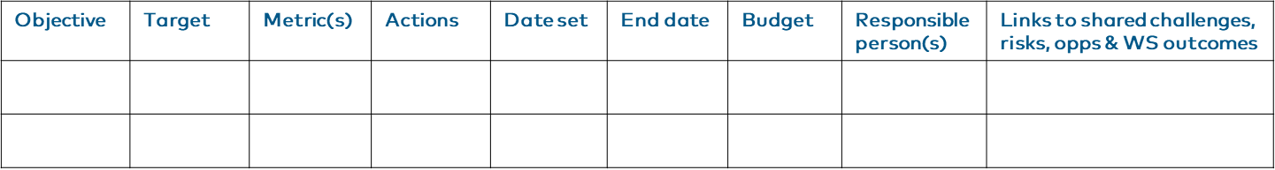 Example of an Action Plan